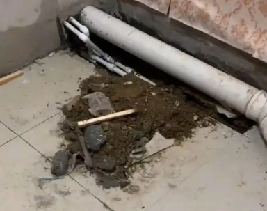 沅陵卫生间漏水检测哪家好